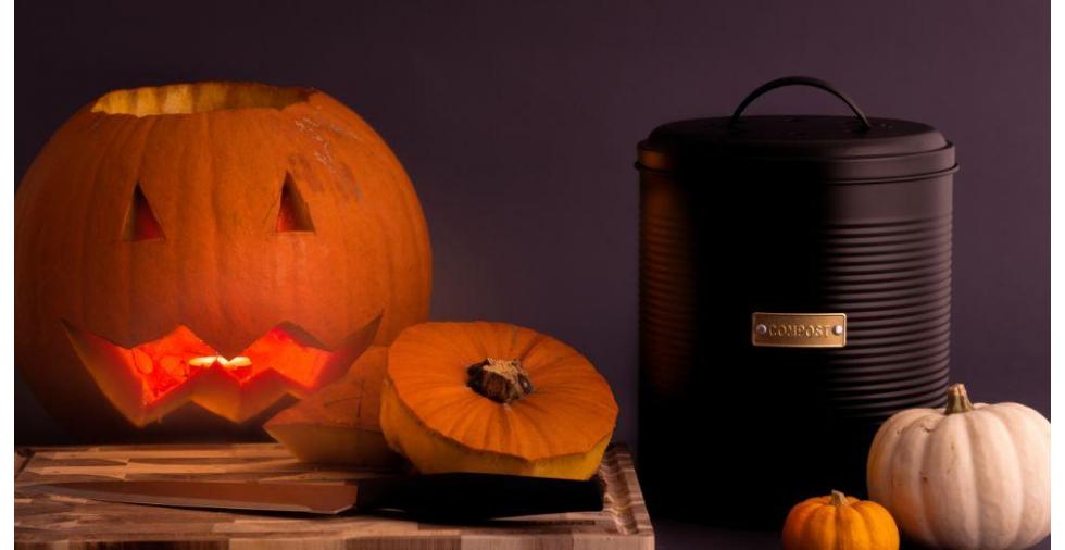 Get Ahead of the Carve with Post-Pumpkin Season 